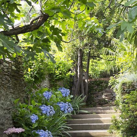 B&B Casa Carla Pinerolo Eksteriør bilde