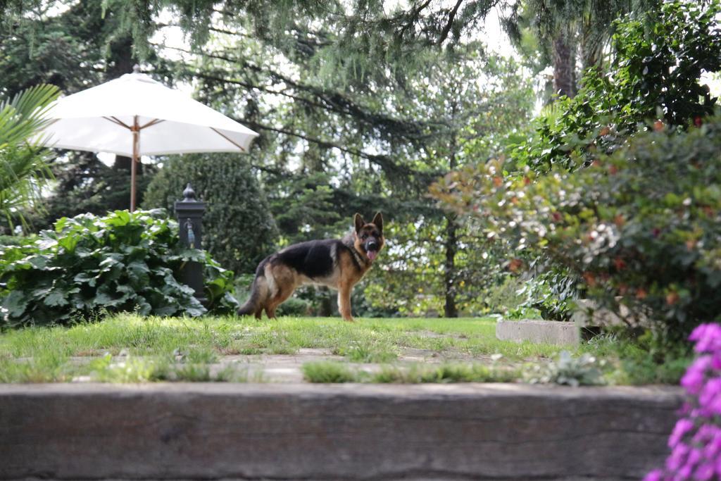 B&B Casa Carla Pinerolo Eksteriør bilde